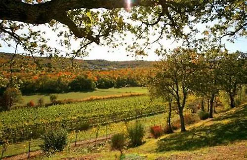 Kranjci Kranjci Hrvatini